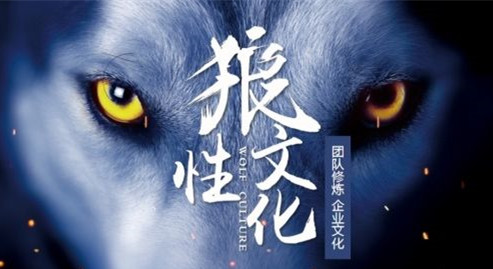 狼性精神.jpg 狼性精神.jpg