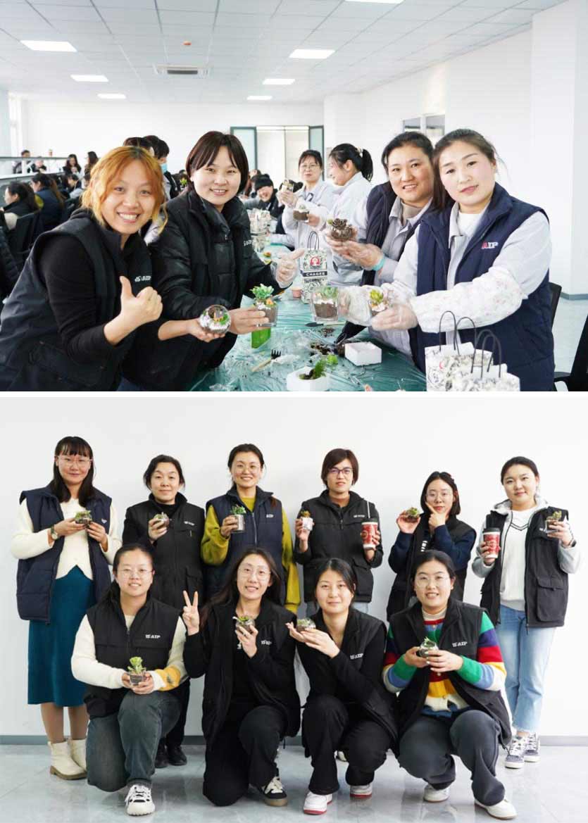 3.8 婦女節(jié)丨微景觀DIY,一起邂逅微世界里的春日—AIP艾普 3.8 婦女節(jié)丨微景觀DIY,一起邂逅微世界里的春日—AIP艾普